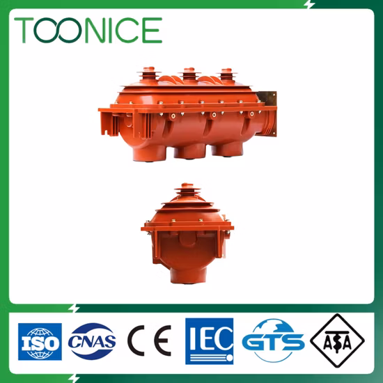 Flbs36-24kv/630A-20ka Внутренняя вставка RMU SF6 Выключатель-разъединитель Выключатель-разъединитель (фунты)